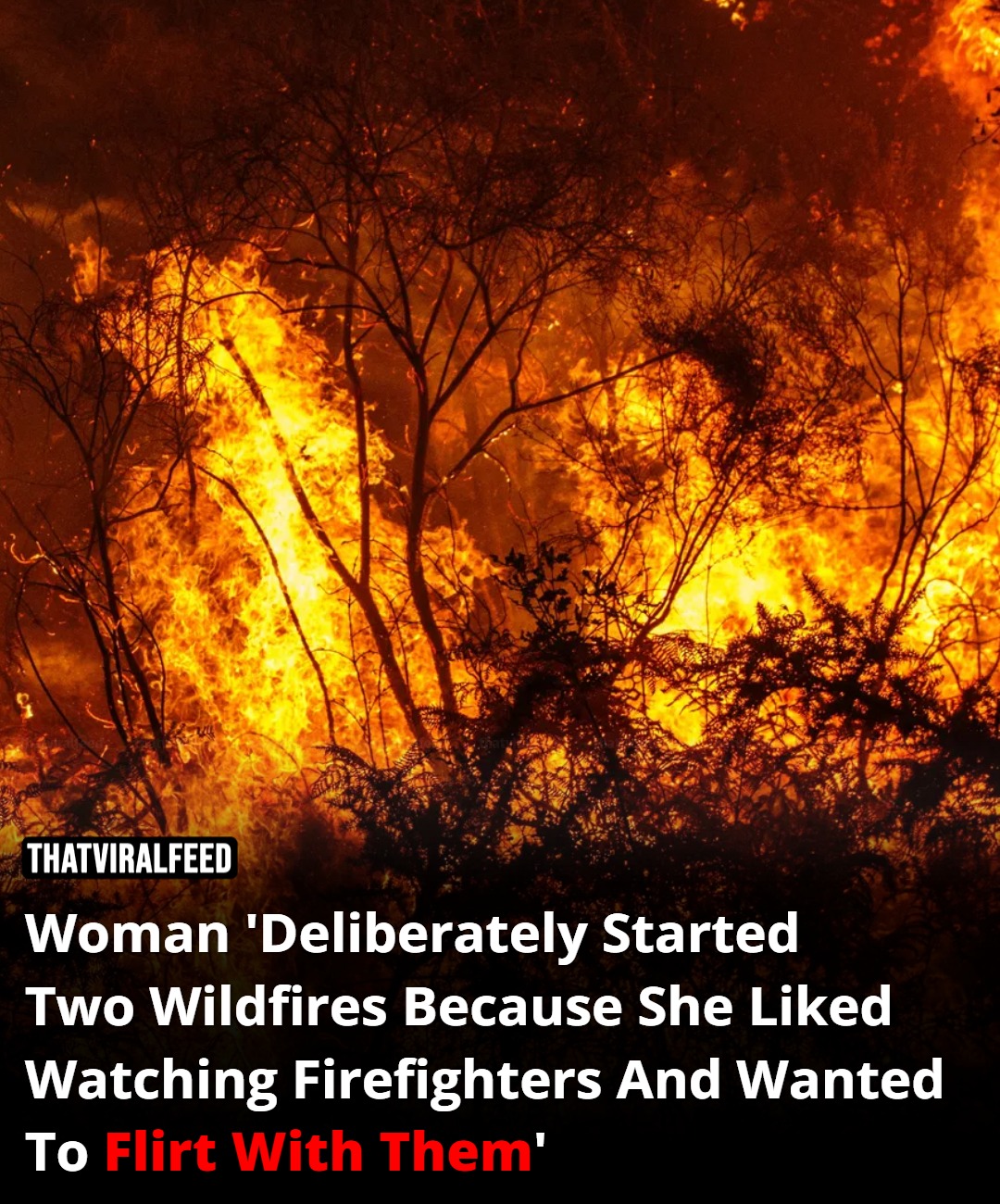 Woman ‘Deliberately Started Two Wildfires Because She Liked Watching Firefighters And Wanted To Flirt With Them’