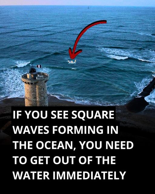 Here’s What To Do If You See Square Waves Forming In The Ocean