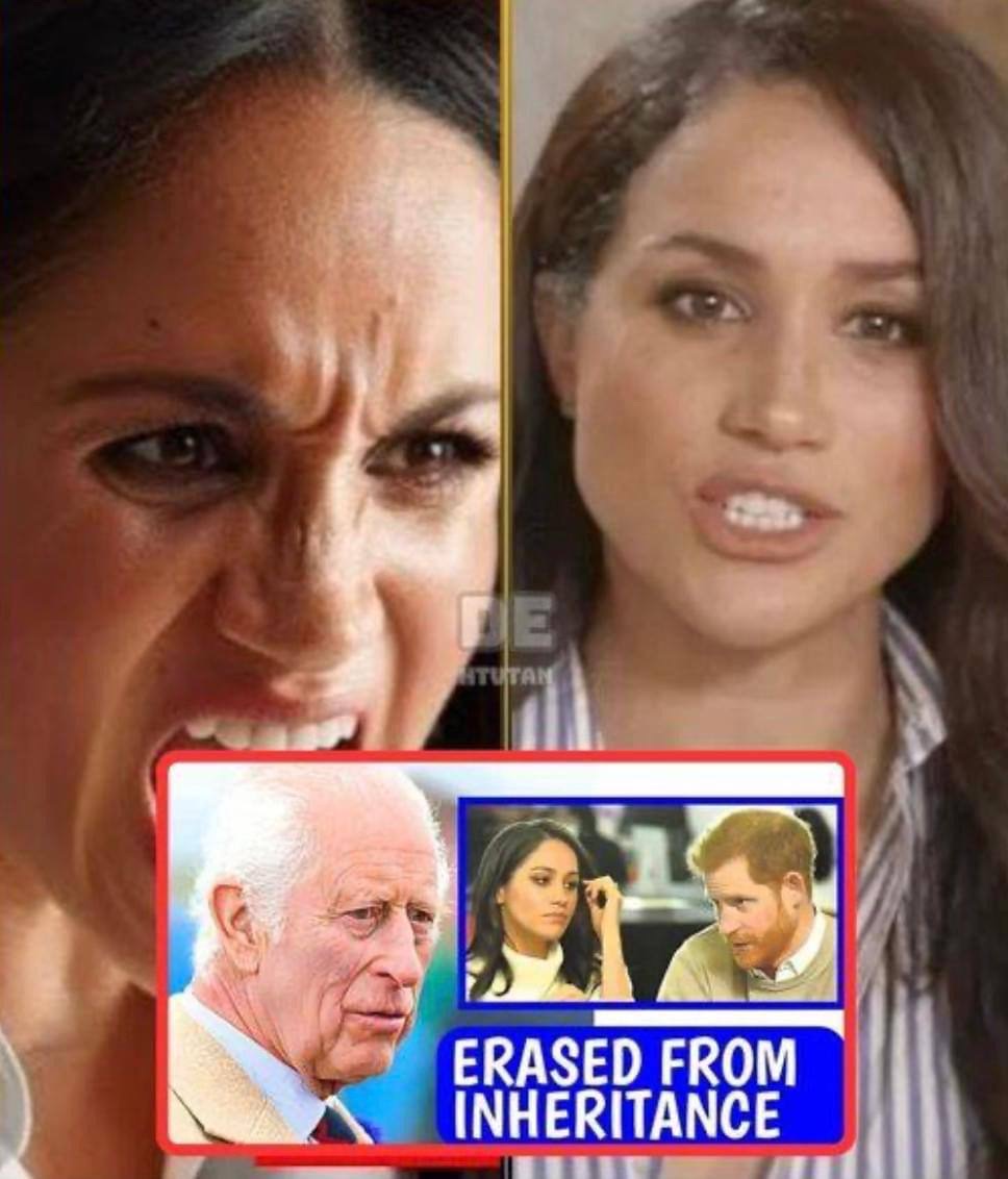 Did King Charles remove Meghan Markle’s title and withhold her name from Harry’s $10 million inheritance after the divorce?